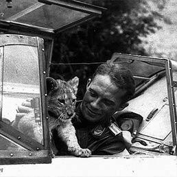 Oberleutnant Franz von Werra, in the cockpit of his Messerschmitt Me 109 of II./JG 3. Oberleutnant Franz von Werra, in the cockpit of his Messerschmitt Me 109 of II./JG 3.